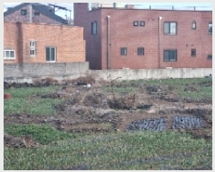  2025Ÿ459  ֽ  縮 2526-1      (1)