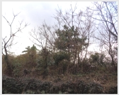  2025Ÿ��541 ���� ���ֽ� �Ѱ�� ����� 508      ����(�Ӿ�)���