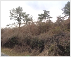  2025Ÿ��541 ���� ���ֽ� �Ѱ�� ����� 508      ����(�Ӿ�)���