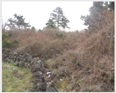  2025Ÿ��541 ���� ���ֽ� �Ѱ�� ����� 508      ����(�Ӿ�)���