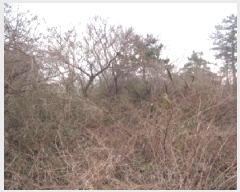  2025Ÿ��541 ���� ���ֽ� �Ѱ�� ����� 508      ����(�Ӿ�)���