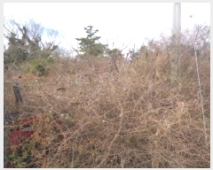  2025Ÿ��541 ���� ���ֽ� �Ѱ�� ����� 508      ����(�Ӿ�)���