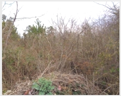  2025Ÿ��541 ���� ���ֽ� �Ѱ�� ����� 508      ����(�Ӿ�)���