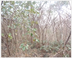  2025Ÿ��541 ���� ���ֽ� �Ѱ�� ����� 508      ����(�Ӿ�)���