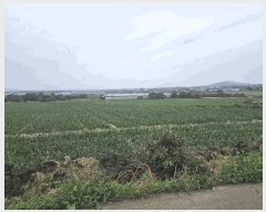  2025Ÿ640     1967-4      (1)