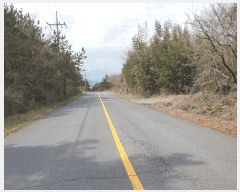  2025Ÿ894  ֽ Ѹ ݾǸ 32-13      ()