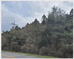  2025Ÿ894  ֽ Ѹ ݾǸ 32-13      ()