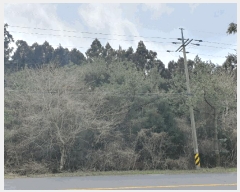  2025Ÿ894  ֽ Ѹ ݾǸ 32-13      ()