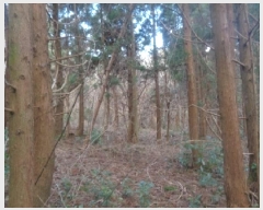  2025Ÿ894  ֽ Ѹ ݾǸ 32-13      ()