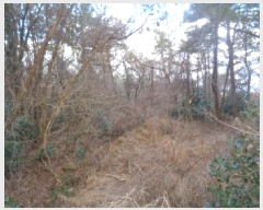  2025Ÿ894  ֽ Ѹ ݾǸ 32-13      ()