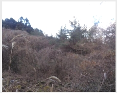  2025Ÿ894  ֽ Ѹ ݾǸ 32-13      ()