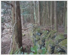  2025Ÿ894  ֽ Ѹ ݾǸ 32-13      ()