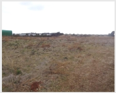  2025Ÿ��903 ���� ���ֽ� �Ѱ�� ������ 4038      ����(�Ӿ�)���