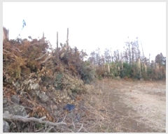  2025Ÿ��903 ���� ���ֽ� �Ѱ�� ������ 4038      ����(�Ӿ�)���