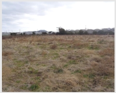  2025Ÿ��903 ���� ���ֽ� �Ѱ�� ������ 4038      ����(�Ӿ�)���