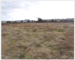  2025Ÿ��903 ���� ���ֽ� �Ѱ�� ������ 4038      ����(�Ӿ�)���