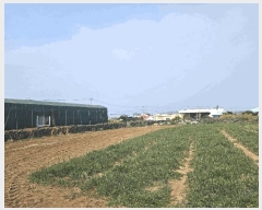  2025Ÿ912    ŵ 3109-2      ()