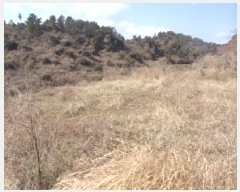  2025Ÿ922   ȴ âõ 982      (1)