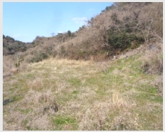  2025Ÿ922   ȴ âõ 982      (1)