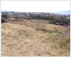  2025Ÿ922   ȴ âõ 982      (1)