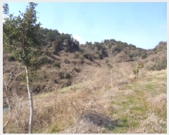  2025Ÿ922   ȴ âõ 982      (1)