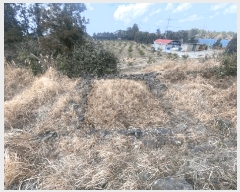  2025Ÿ930  ֽ Ѹ 븮 2229      (Ӿ)