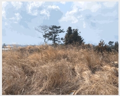  2025Ÿ930  ֽ Ѹ 븮 2229      (Ӿ)