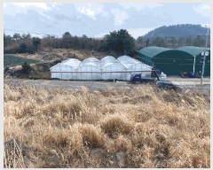  2025Ÿ930  ֽ Ѹ 븮 2229      (Ӿ)