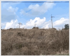  2025Ÿ930  ֽ Ѹ 븮 2229      (Ӿ)