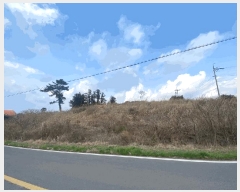  2025Ÿ930  ֽ Ѹ 븮 2229      (Ӿ)