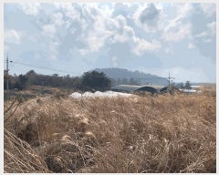  2025Ÿ930  ֽ Ѹ 븮 2229      (Ӿ)