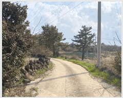  2025Ÿ930  ֽ Ѹ 븮 2229      (Ӿ)