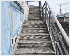  2025Ÿ941  ֽ Ѹ ʹ 3019      ܵ,ð