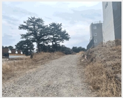  2025Ÿ��959  �Ӿ߰��