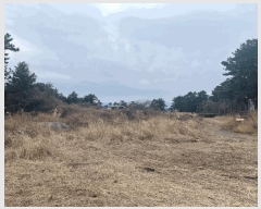  2025Ÿ��959  �Ӿ߰��