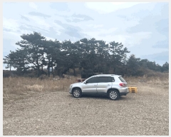  2025Ÿ��959  �Ӿ߰��