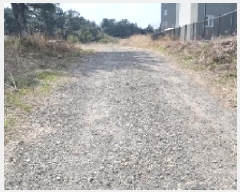  2025Ÿ��959  �Ӿ߰��