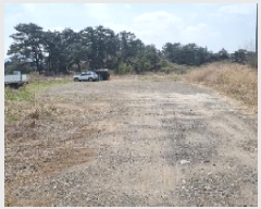  2025Ÿ��959  �Ӿ߰��