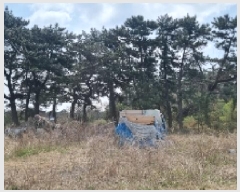  2025Ÿ��959  �Ӿ߰��