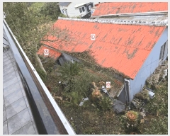  2025Ÿ��978 ���� �������� ������ ���̸� 4205-4      ���ð��