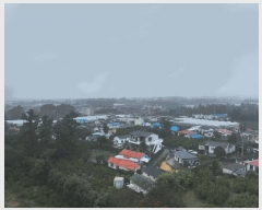  2025Ÿ��978 ���� �������� ������ ���̸� 4205-4      ���ð��