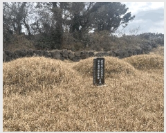  2025Ÿ��993 ���� ���ֽ� ��õ�� ���긮 2185      ����(�Ӿ�)���