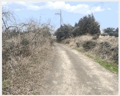  2025Ÿ��993 ���� ���ֽ� ��õ�� ���긮 2185      ����(�Ӿ�)���