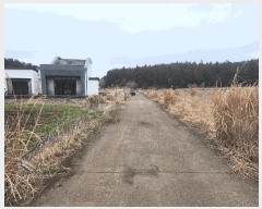  2025Ÿ995  ֽ õ  409-2      (Ӿ)