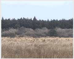  2025Ÿ995  ֽ õ  409-2      (Ӿ)