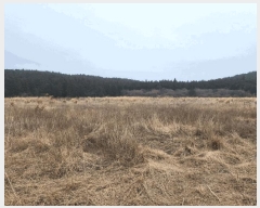  2025Ÿ995  ֽ õ  409-2      (Ӿ)