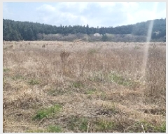  2025Ÿ995  ֽ õ  409-2      (Ӿ)