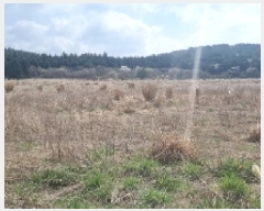  2025Ÿ995  ֽ õ  409-2      (Ӿ)