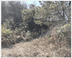  2025Ÿ1003    ޸ 1706-3      (Ӿ)