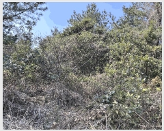  2025Ÿ1003    ޸ 1706-3      (Ӿ)